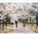 봉오대로 이미지