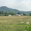 정촌농장 이미지