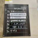 까미노블랑코 | 서면분위기맛집 : '까미노블랑코' 서면파스타 맛집 후기🍝