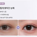 팁토우 위시 터치 아이 팔레트 후기｜데일리 아이섀도우 추천