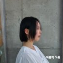 성수동미용실 시드더뷰티에서 헤어컨설팅 받고 단발 커트 후기
