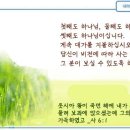 일일예화말씀묵상 2025년 1월 24일 (금) - 하나님의 관심 이미지