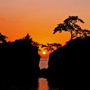 신년해맞이축제 이미지