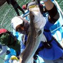 해피플러스 이미지