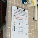 구좌체육공원 주경기장 | 아기랑 하늘공원 2025 서울 억새축제, 마포나루 새우젓축제 방문기; 주차 꿀팁, 셔틀 위치