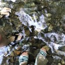 용수목 | 가평 펜션 / 독채로 프라이빗한 스파펜션 스테이모운 후기 (용수목계곡 바로 앞)