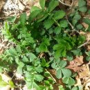 선학초등학교 이미지