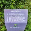 3일은 라운딩 해야 아하~! 소리가 나오는 하이원cc / 마운틴코스(2) 라운딩 후기 / 그늘집