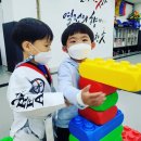 국가대표 태권도 키즈 이미지