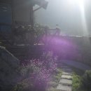 5월펜션 이미지