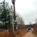 기응세선생묘 이미지