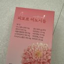 생리불순 때문에 찾다가 알게된 피오르 이노시톨후기