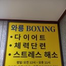 와룡복싱 이미지