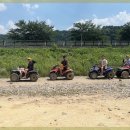 동강자연속으로 이미지