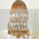 미네스헤어 이미지