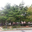 구로리공원 이미지