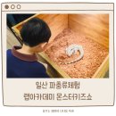 [동구샘터] 예쁜 것만 만들어 보는 시간(2회차-캔들 만들기) | 일산 파충류 체험 랩아카데미 몬스터키즈쇼 추천해요 (현대백화점 킨텍스점)