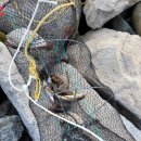 양양 오션비치 이미지