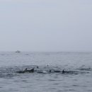 제주 아모제 이미지