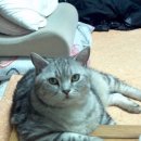 둘레길민박 이미지