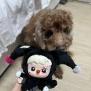 뽑기마트 이미지