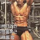 더 레오 핏 네이버블로그
