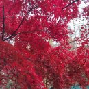 영장공원 이미지