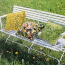 리빙플라워 이미지