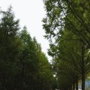 주상초등학교 이미지