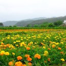 술충전소