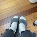 비래초교 | 2020 겨울방학 대전교육서포터즈단 대학생 재능기부(봉사활동) 활동 후기