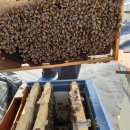 봉이농장 이미지