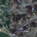 김번