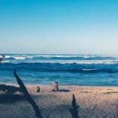 대교갈비 이미지