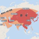 환단고기 미스터리, 우리가 몰랐던 9,000년의 역사 이미지