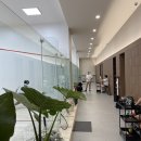 가산디지털단지역 바로 앞 실내스쿼시장 -에이알센트레(arcentre)/ 스쿼시, 기구필라테스, 요가