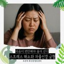마음건강, 스트레스 해소와 감정조절 | 스트레스 해소와 자율신경 균형 – 마음이 편안해야 몸이 산다