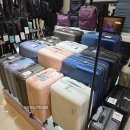 로즈PC | 아메리칸투어리스터 30인치 PC 캐리어 VELTON 10만원대 내돈내산
