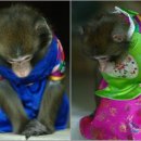 덕장진땡이 이미지