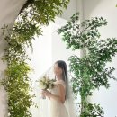 하오!(HA-O!) | W16💍) 결혼 식전 영상 깔끔한 식전 영상 추천 하오 필름 후기