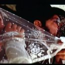 scenes from - sunrise, sunset in fiddler on the roof 이미지