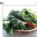 페마연 이미지