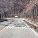 능암호텔 네이버블로그