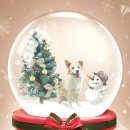 어메이징펫 이미지