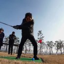 같이삽시다 이미지