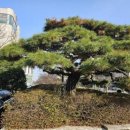 호텔 109 이미지