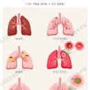 신대방요양보호사교육원 네이버블로그