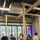 세븐일레븐 일산웨스턴본점 | 웨돔 맛집 돌주물판에 굽는 국내산 삼겹살 석암생소금구이 일산웨스턴돔점 솔직 후기