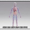 안성햇살의원 이미지