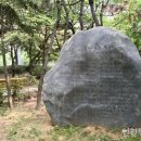 신트리공원 이미지